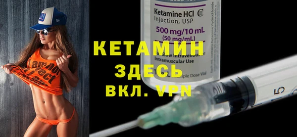 крисы Корсаков