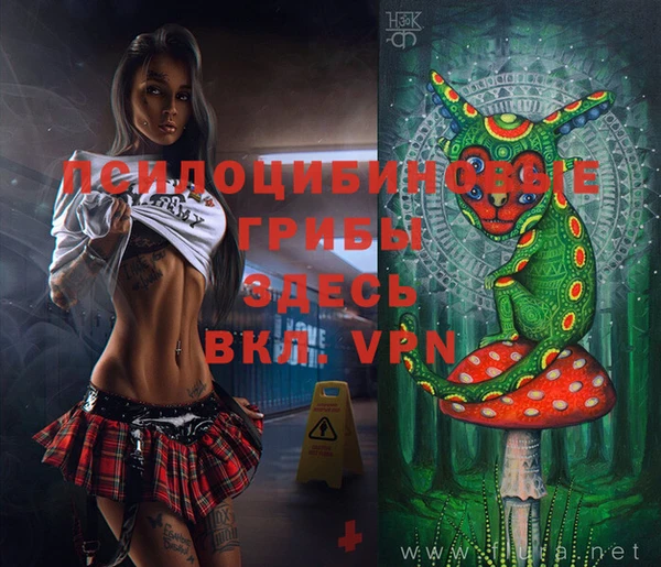 2c-b Козловка