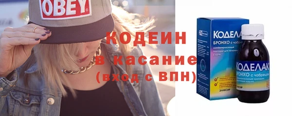крисы Корсаков