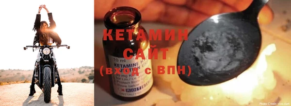 крисы Корсаков