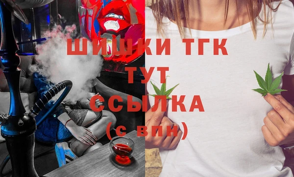 крисы Корсаков