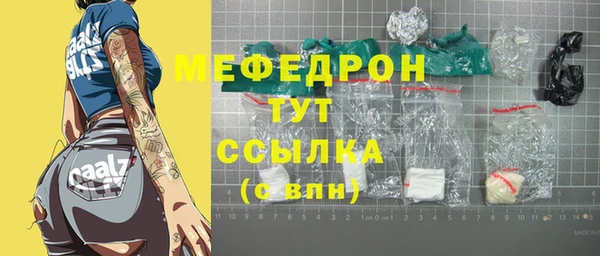 крисы Корсаков