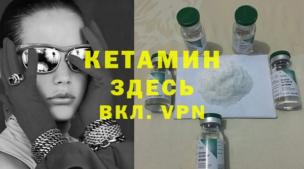 крисы Корсаков