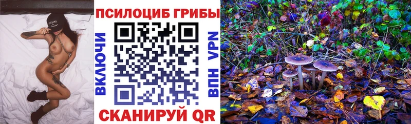 Псилоцибиновые грибы Cubensis Называевск